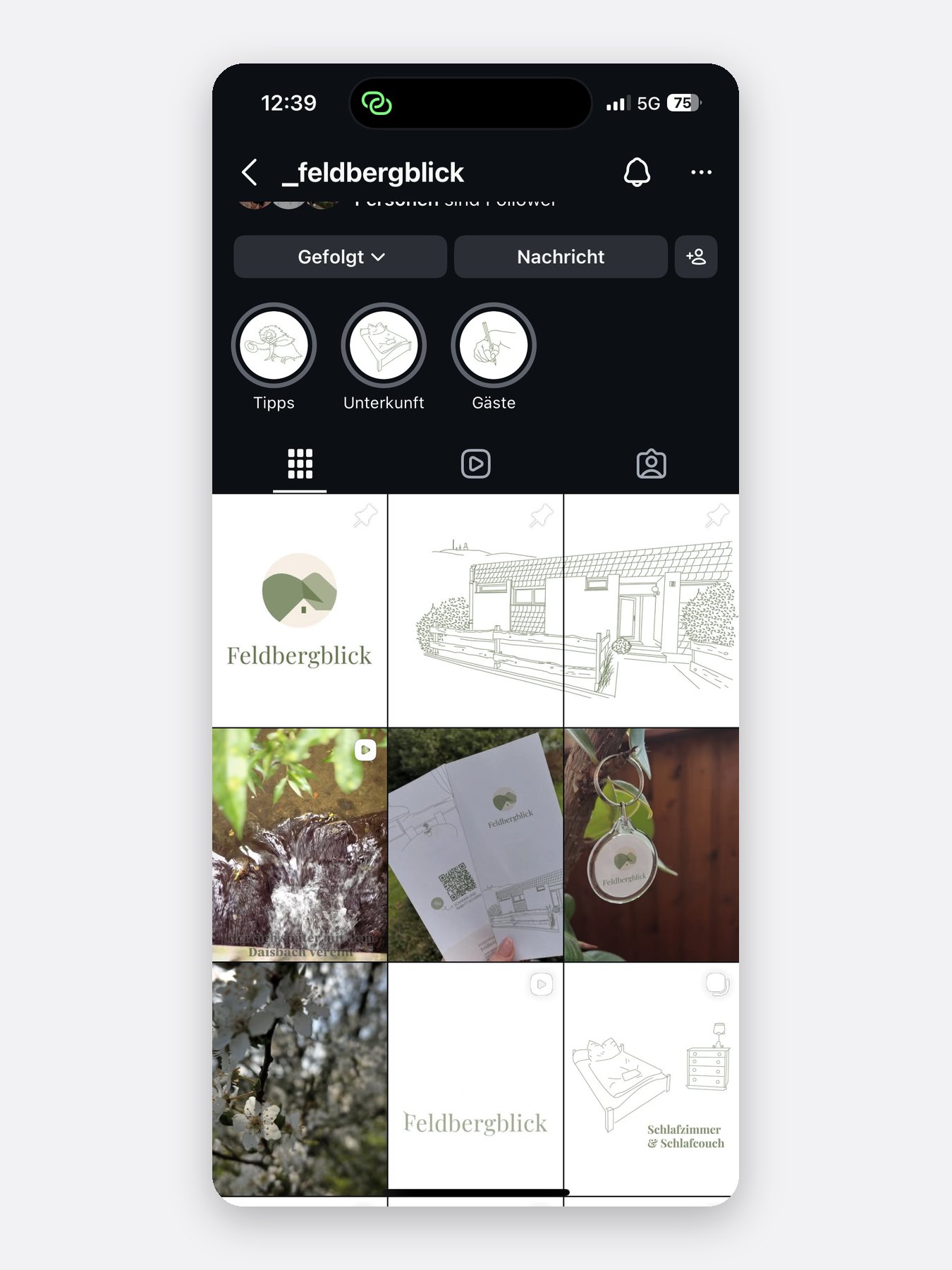 Feldbergblick – Instagram-Profil mit Beitragsraster